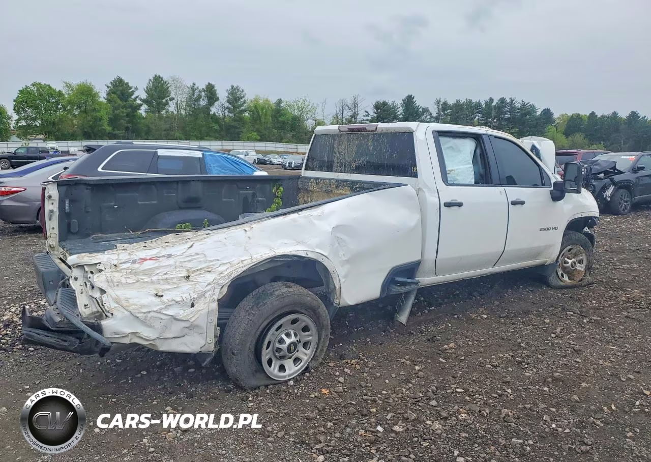 2020 Chevrolet Silverado K2500 Heavy Duty VIN:1GC4YLEY3LF237657 - 3