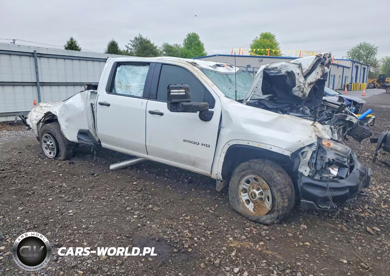 2020 Chevrolet Silverado K2500 Heavy Duty VIN:1GC4YLEY3LF237657 - 4