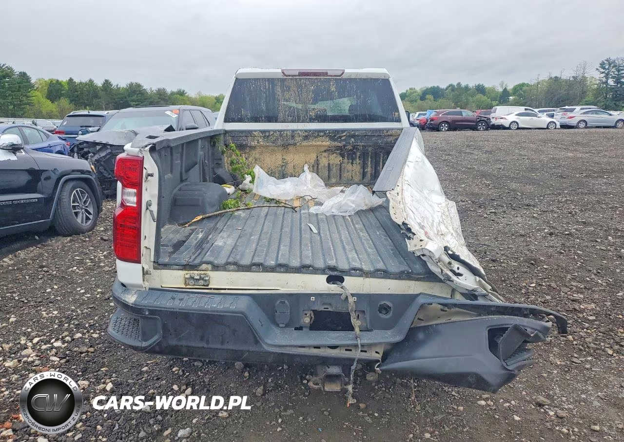 2020 Chevrolet Silverado K2500 Heavy Duty VIN:1GC4YLEY3LF237657 - 6