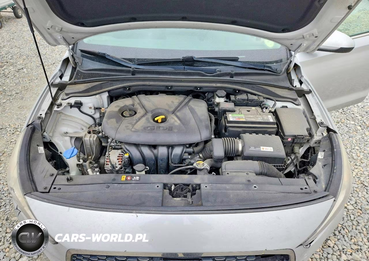 2019 Hyundai Elantra Gt Base VIN:KMHH35LE0KU101948 - 12
