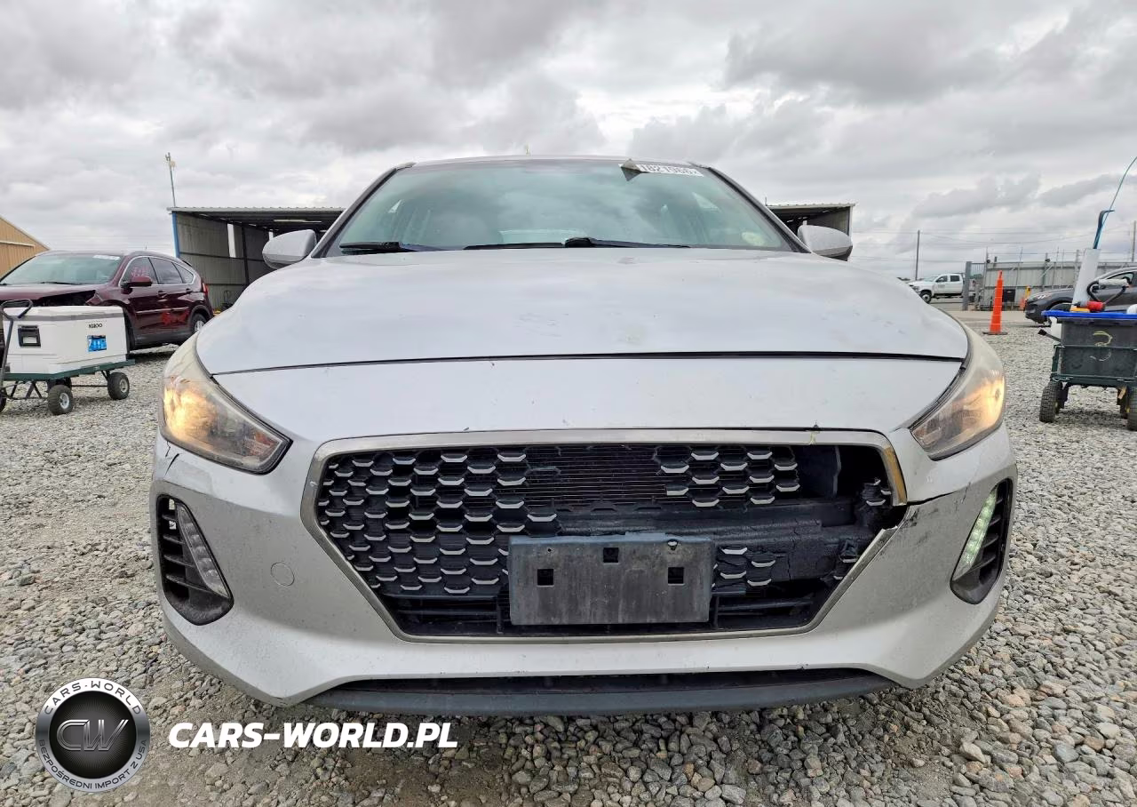 2019 Hyundai Elantra Gt Base VIN:KMHH35LE0KU101948 - 5