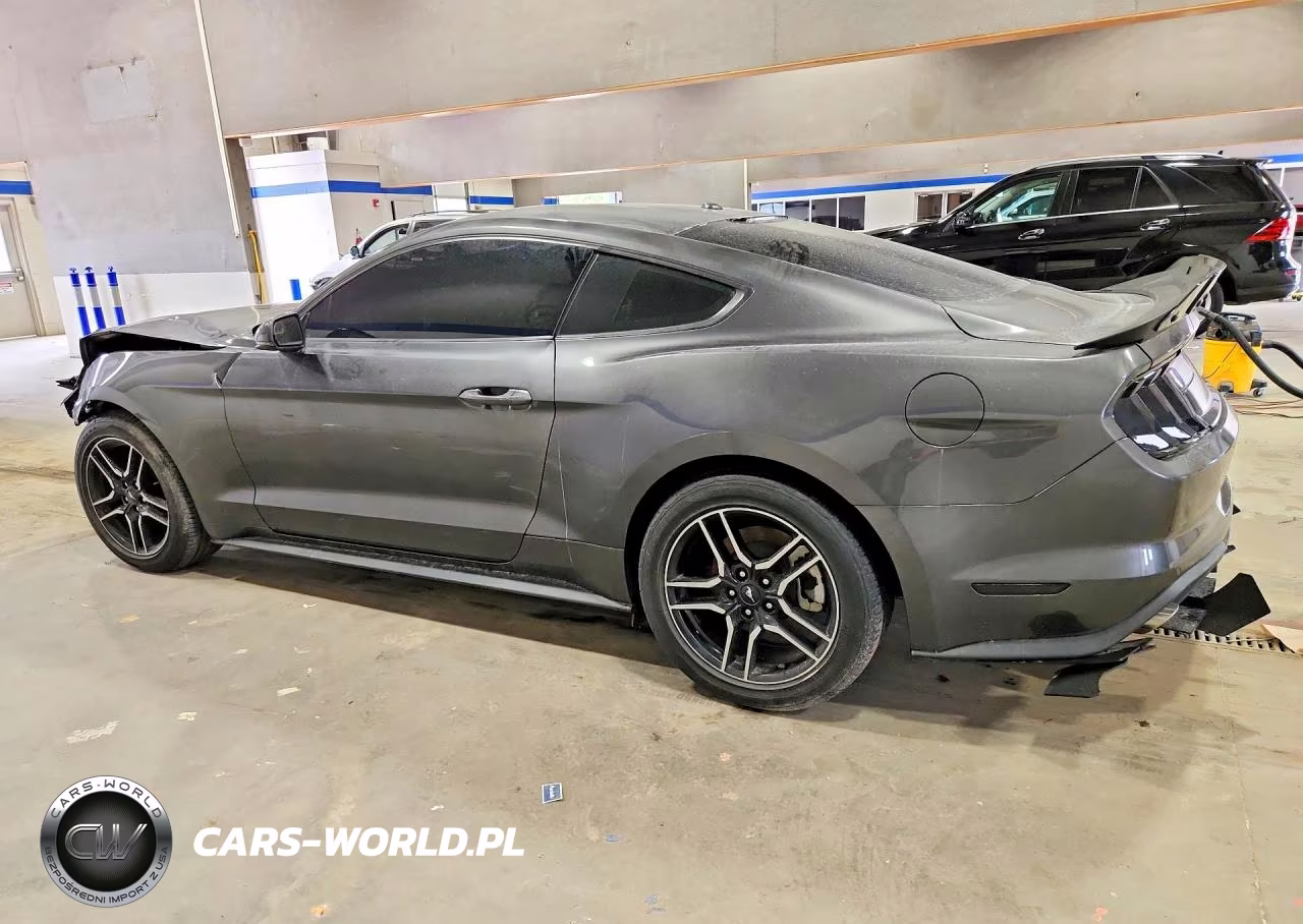 2019 Ford Mustang Ecoboost Premium VIN:1FA6P8TH2K5172077 - 2