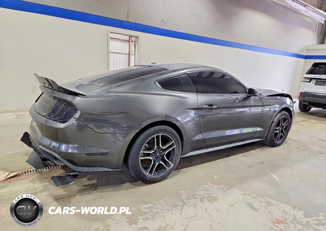 2019 Ford Mustang Ecoboost Premium VIN:1FA6P8TH2K5172077 - 3
