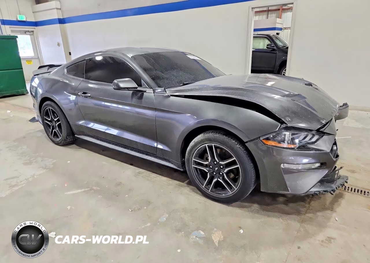 2019 Ford Mustang Ecoboost Premium VIN:1FA6P8TH2K5172077 - 4