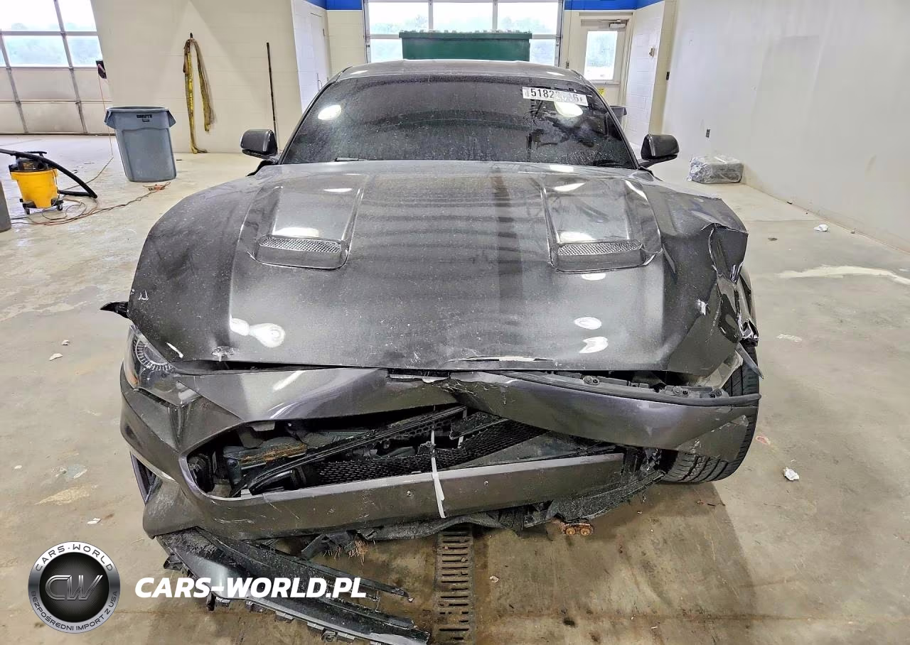 2019 Ford Mustang Ecoboost Premium VIN:1FA6P8TH2K5172077 - 5
