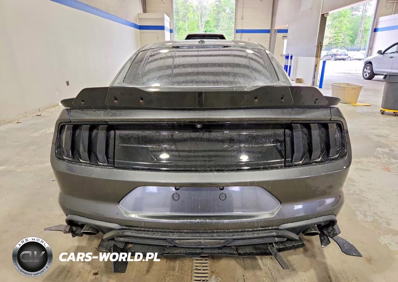 2019 Ford Mustang Ecoboost Premium VIN:1FA6P8TH2K5172077 - 6