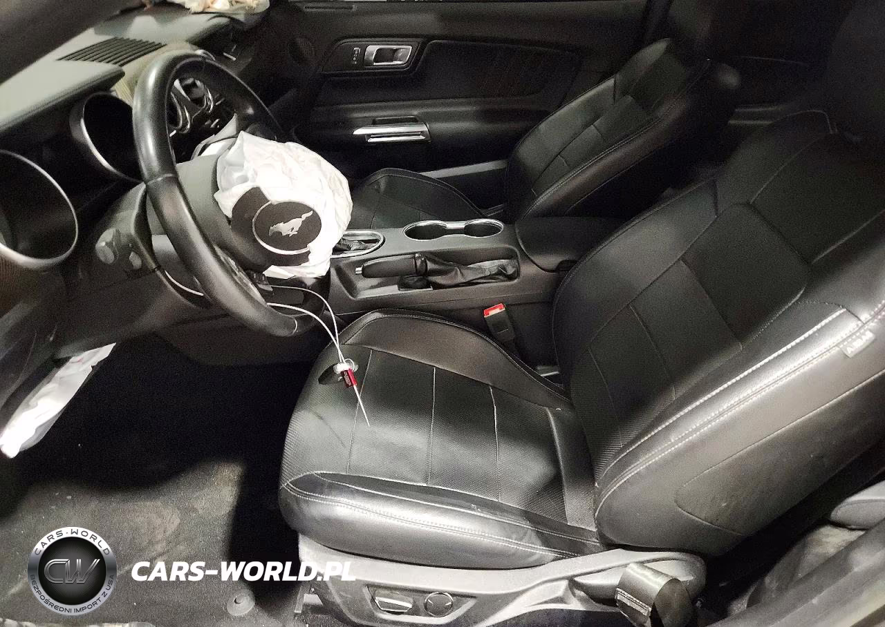 2019 Ford Mustang Ecoboost Premium VIN:1FA6P8TH2K5172077 - 7