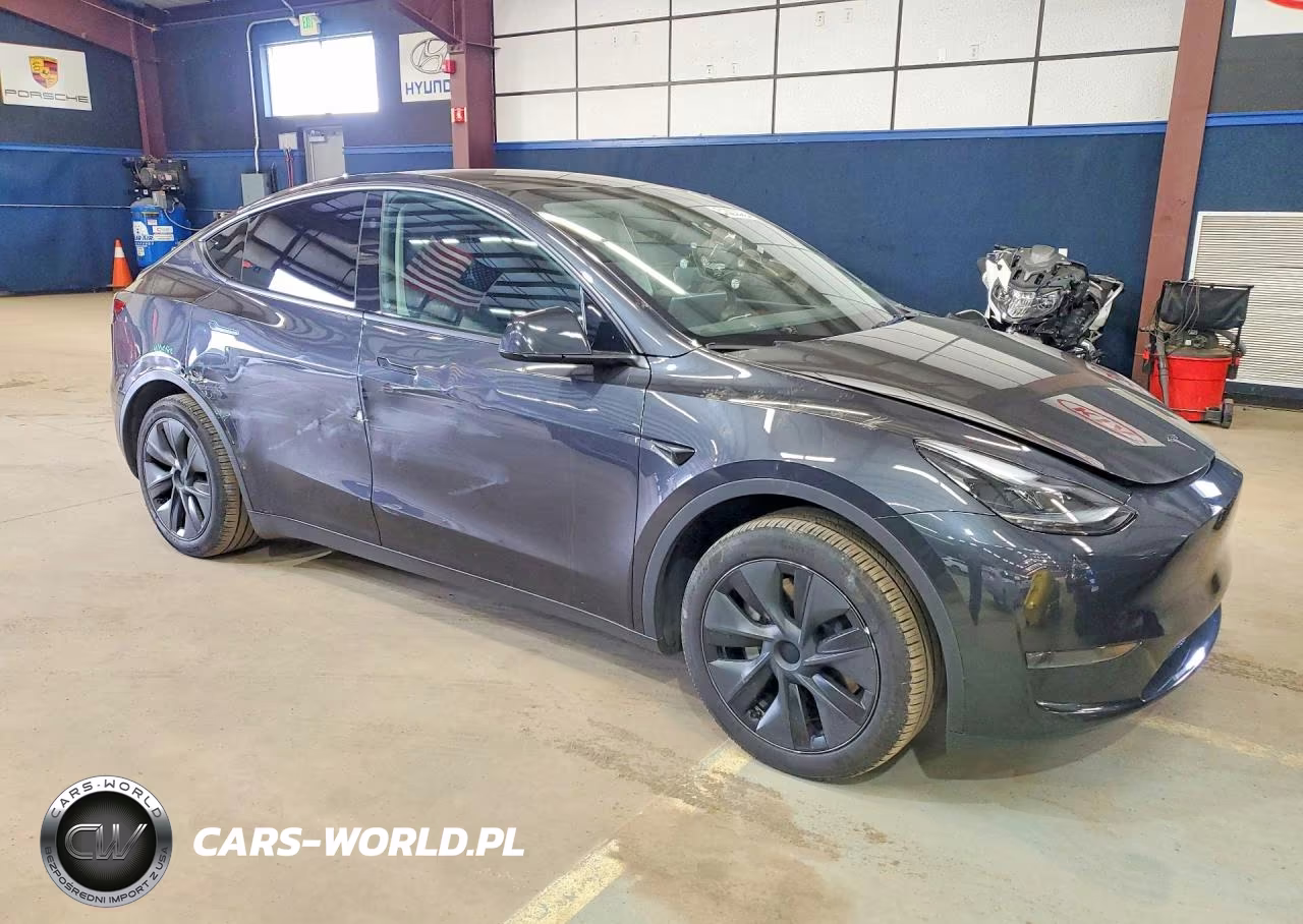 2024 Tesla Model Y VIN:7SAYGDED4RF164743 - 4
