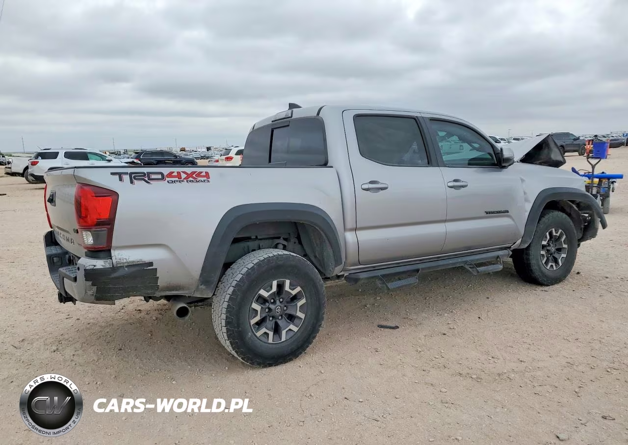 2019 Toyota Tacoma Trd Off-Road VIN:3TMCZ5AN5KM207087 - 3