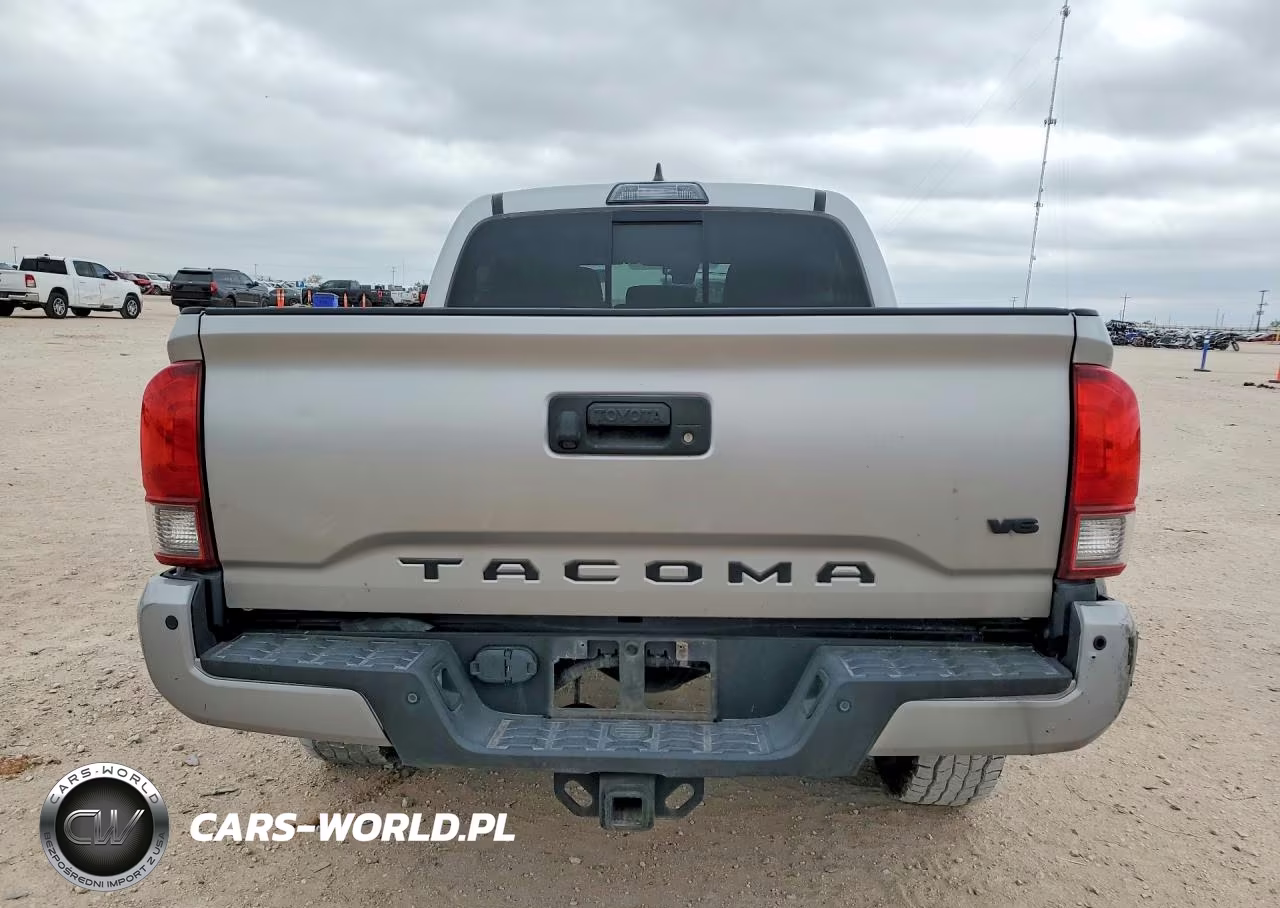 2019 Toyota Tacoma Trd Off-Road VIN:3TMCZ5AN5KM207087 - 6