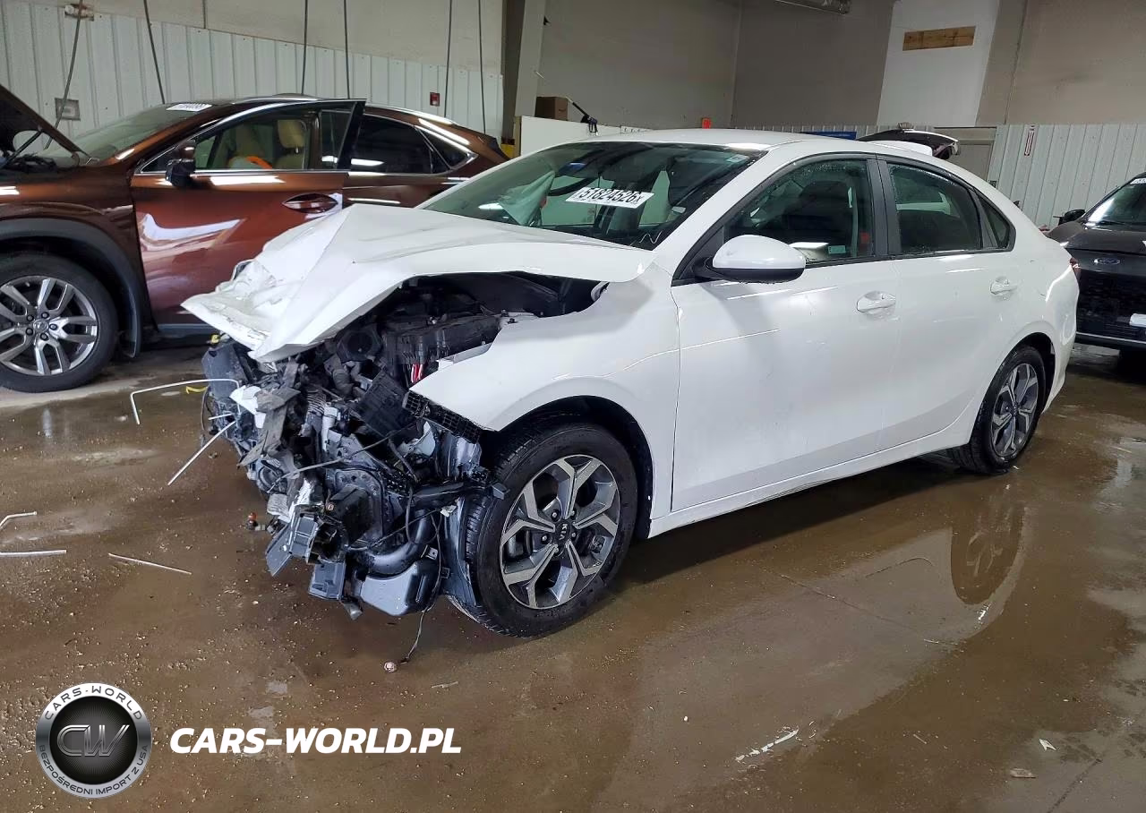 2019 Kia Forte Lxs