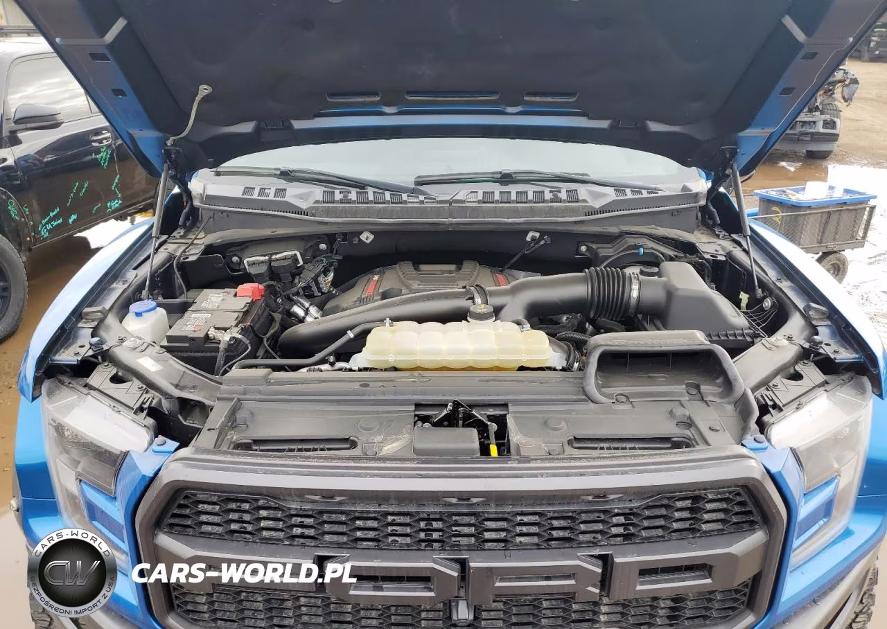 2020 Ford F150 Raptor VIN:IDCO004539ZZ - 11