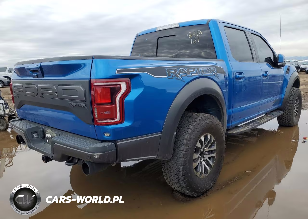 2020 Ford F150 Raptor VIN:IDCO004539ZZ - 3