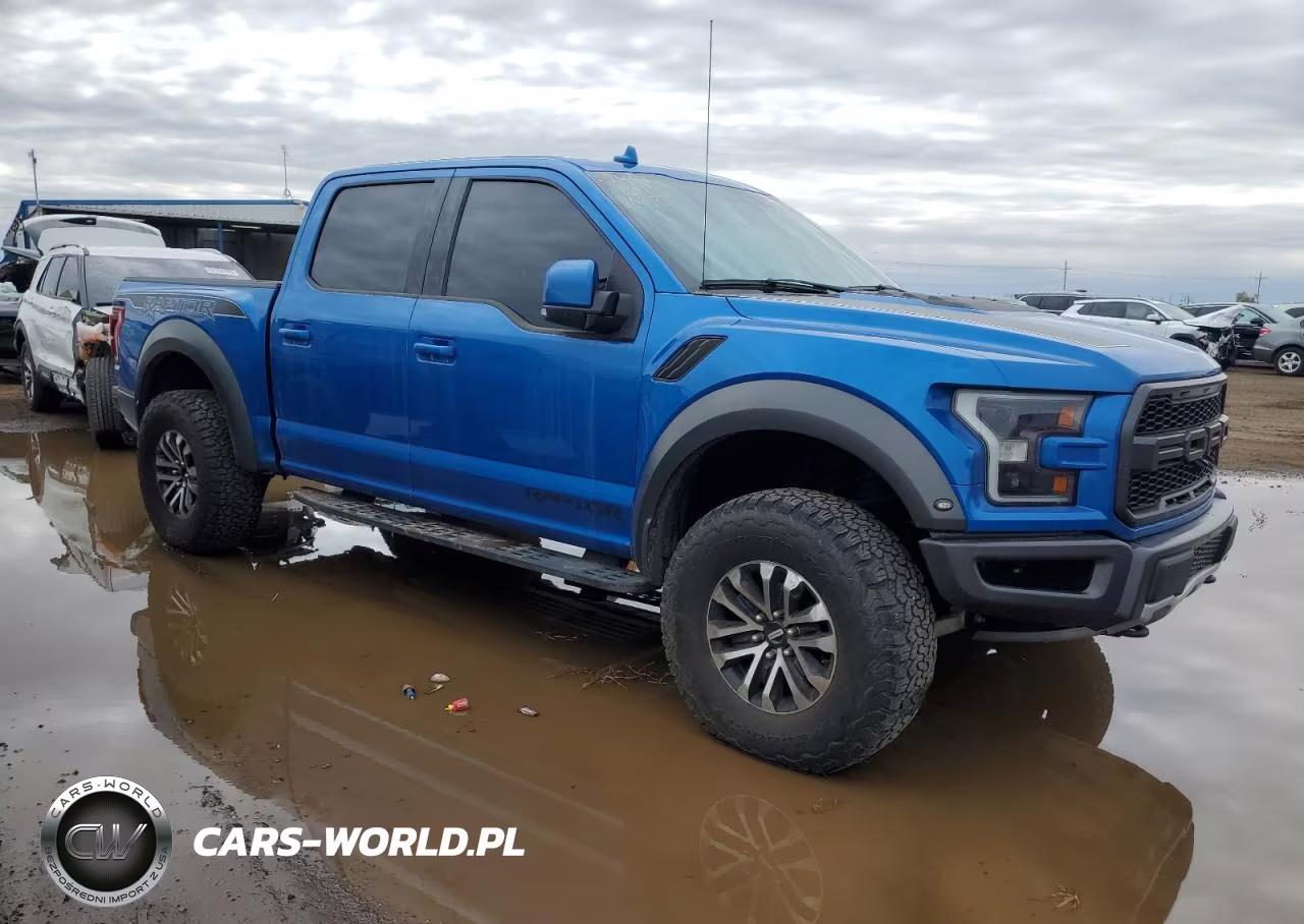2020 Ford F150 Raptor VIN:IDCO004539ZZ - 4
