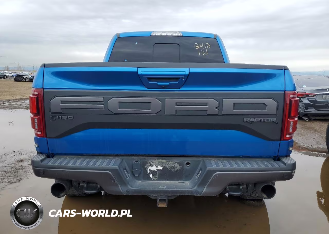 2020 Ford F150 Raptor VIN:IDCO004539ZZ - 6