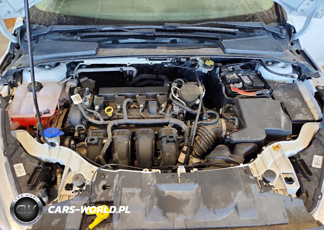 2016 Ford Focus Se VIN:1FADP3F27GL282188 - 11