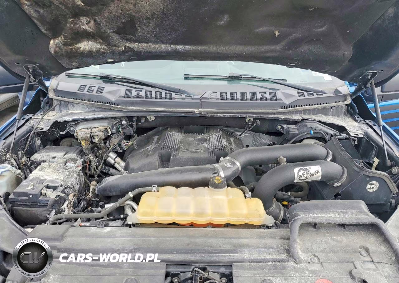 2019 Ford F150 Supercrew VIN:1FTEW1E44KFA09659 - 11