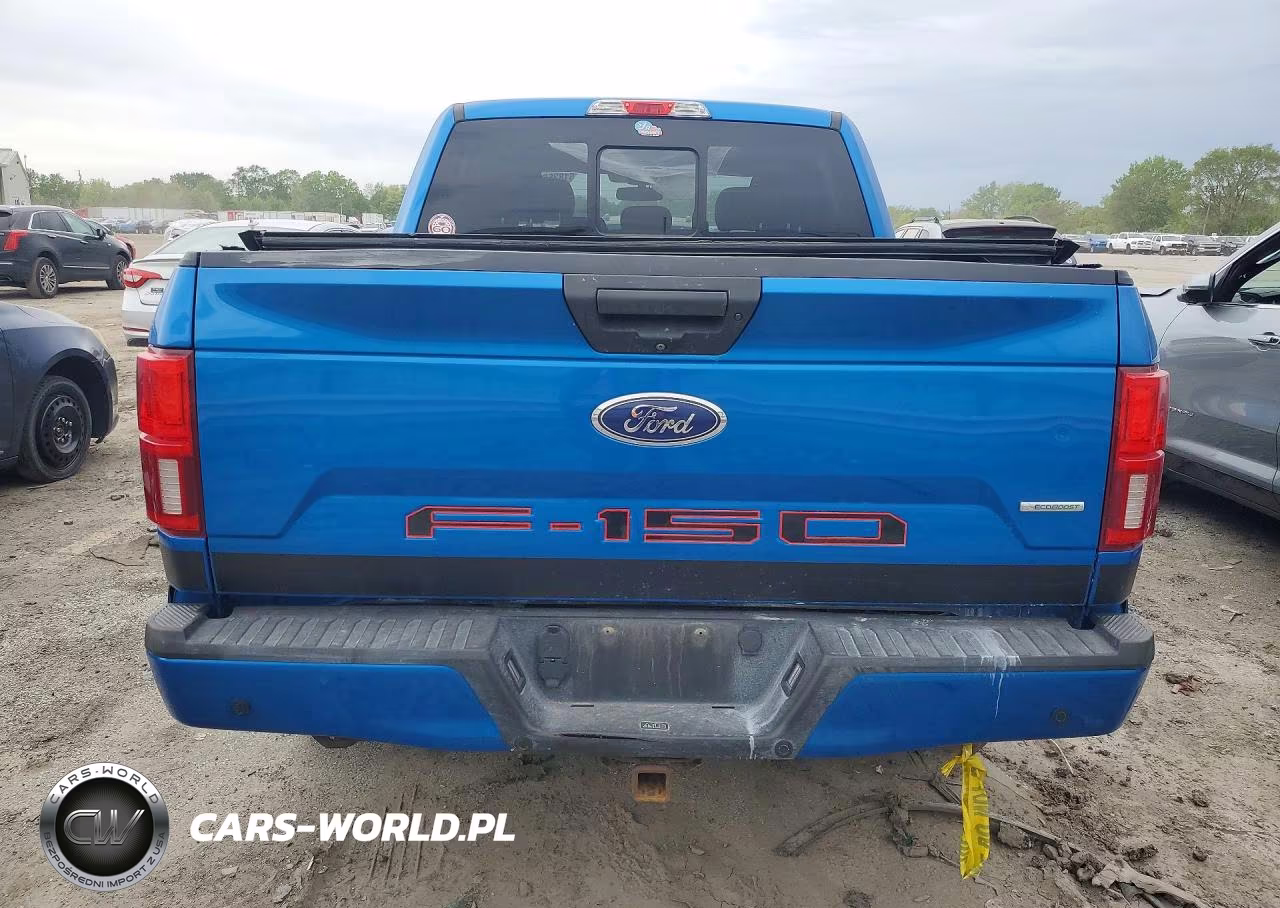 2019 Ford F150 Supercrew VIN:1FTEW1E44KFA09659 - 6