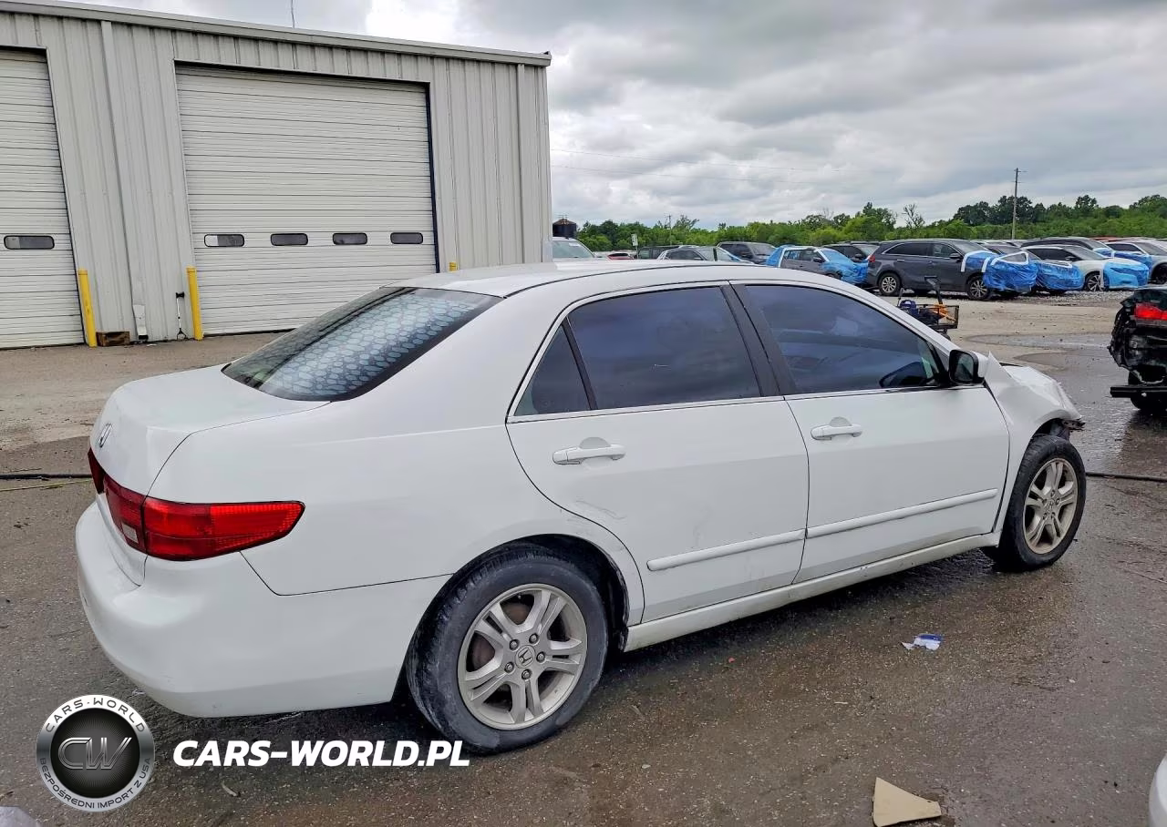 2005 Honda Accord Lx VIN:1HGCM56435A078901 - 3