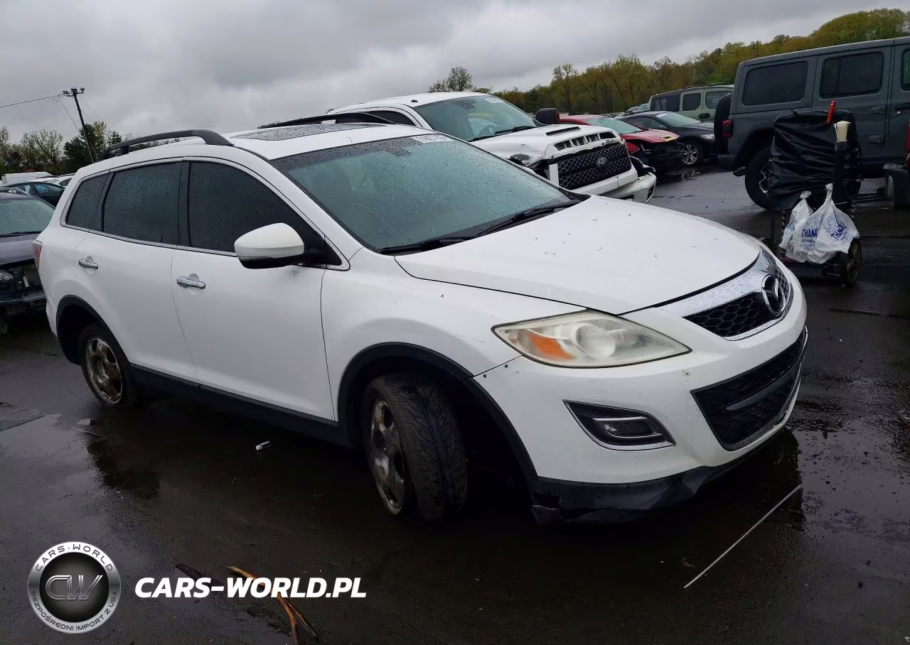 2010 Mazda Cx-9 VIN:JM3TB3MV8A0215777 - 4