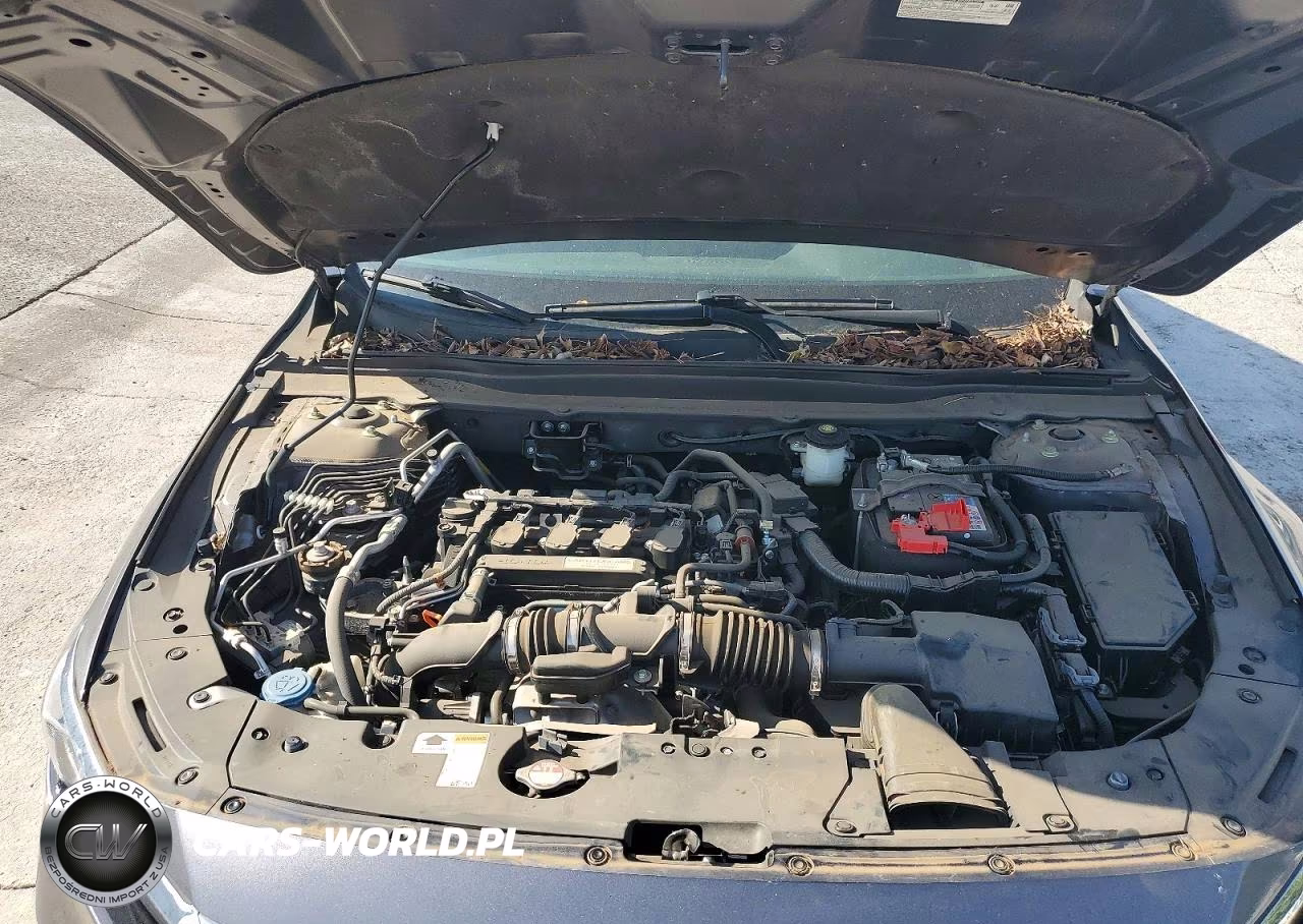 2020 Honda Accord Lx VIN:1HGCV1F19LA084923 - 11