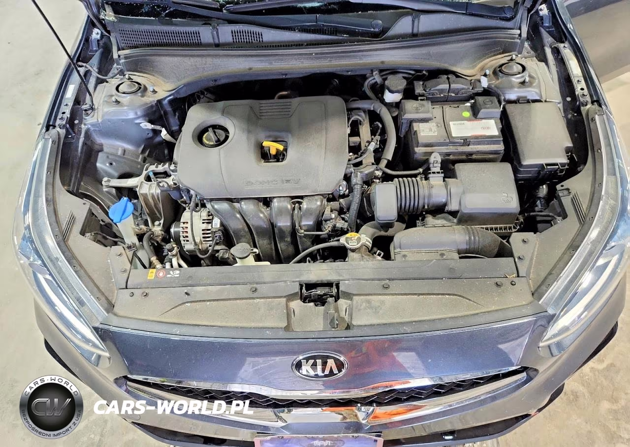 2020 Kia Forte Ex VIN:3KPF54ADXLE183472 - 11