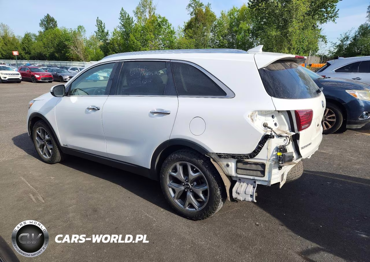 2019 Kia Sorento Ex Sport VIN:5XYPHDA57KG604845 - 2