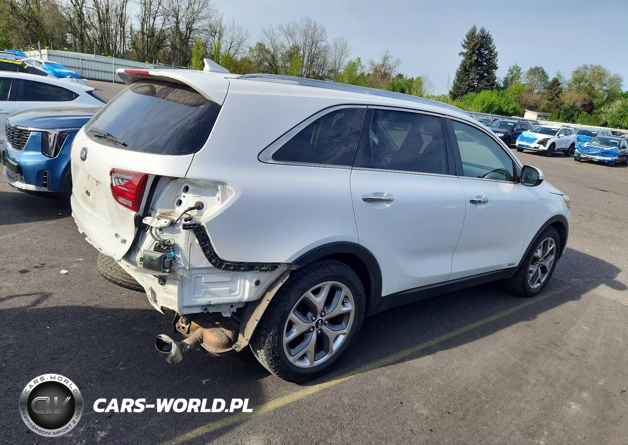 2019 Kia Sorento Ex Sport VIN:5XYPHDA57KG604845 - 3