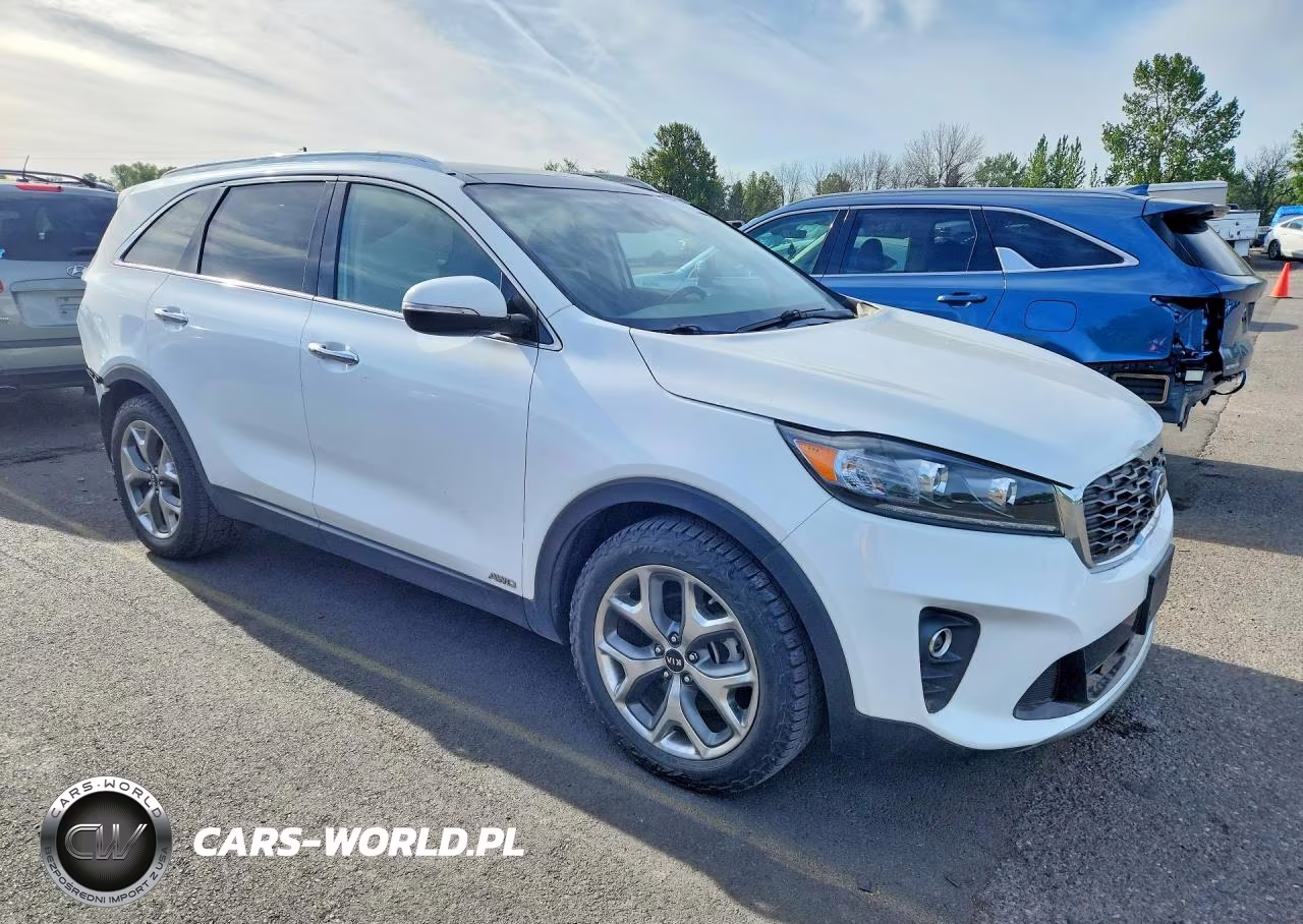 2019 Kia Sorento Ex Sport VIN:5XYPHDA57KG604845 - 4