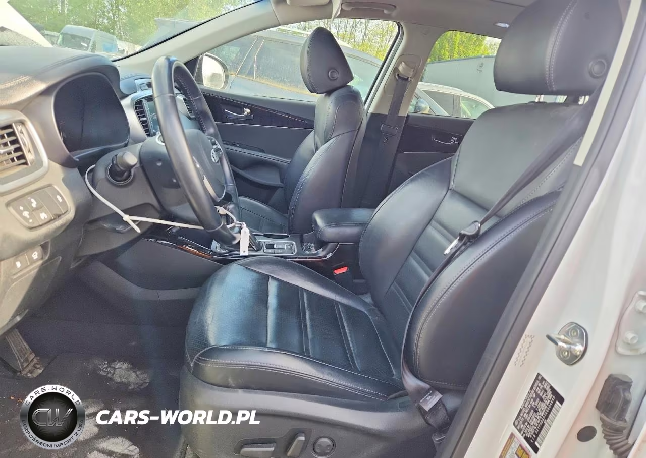 2019 Kia Sorento Ex Sport VIN:5XYPHDA57KG604845 - 7