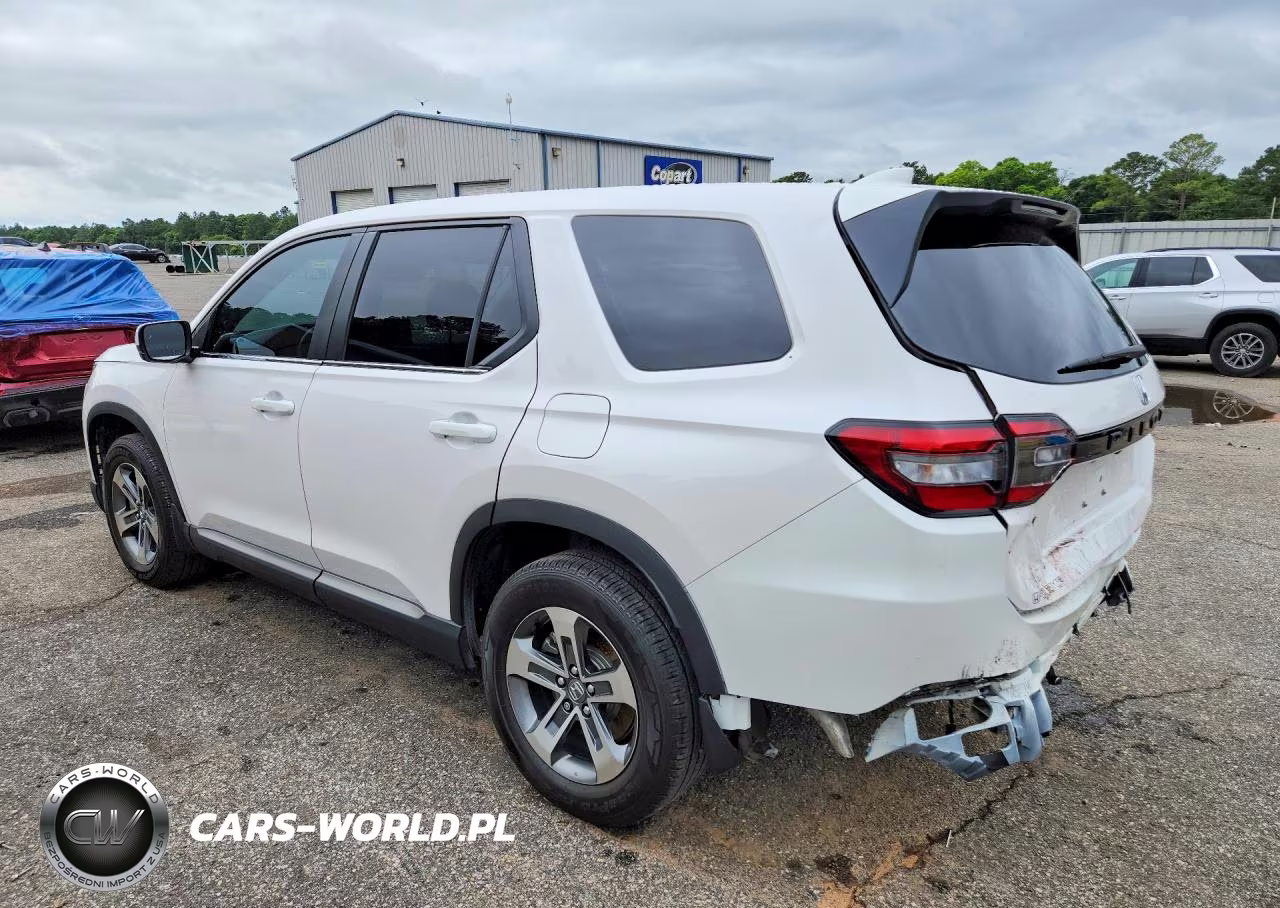 2025 Honda Pilot Exl VIN:5FNYG2H43SB032429 - 2