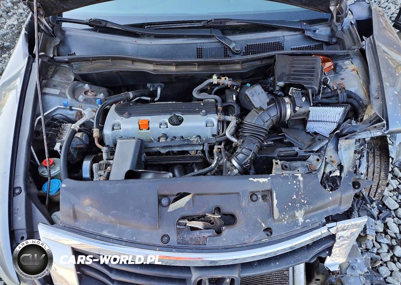 2010 Honda Accord Lxp VIN:1HGCP2F44AA074338 - 11