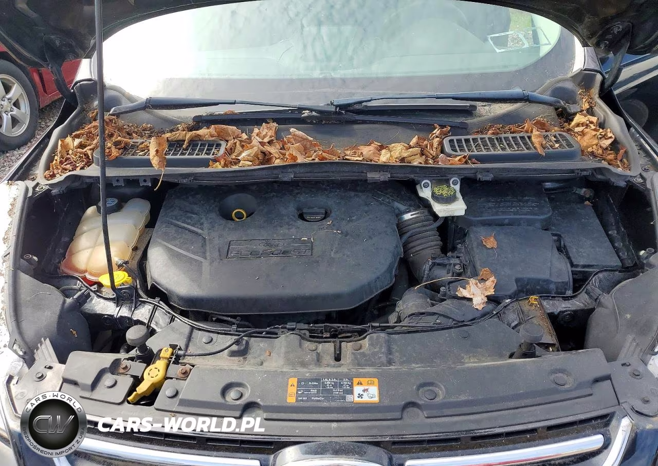2013 Ford Escape Sel VIN:1FMCU9H96DUC04174 - 12