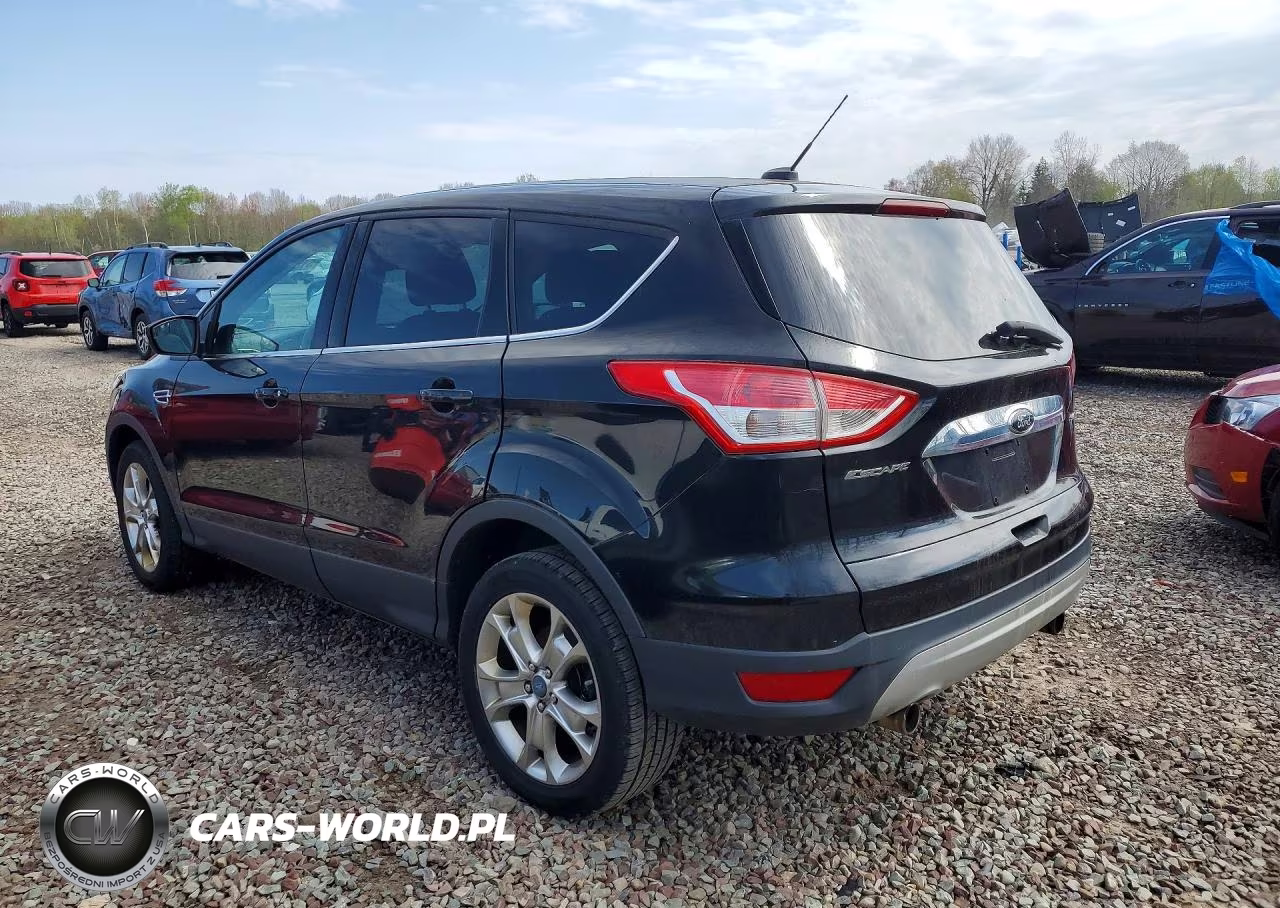 2013 Ford Escape Sel VIN:1FMCU9H96DUC04174 - 2