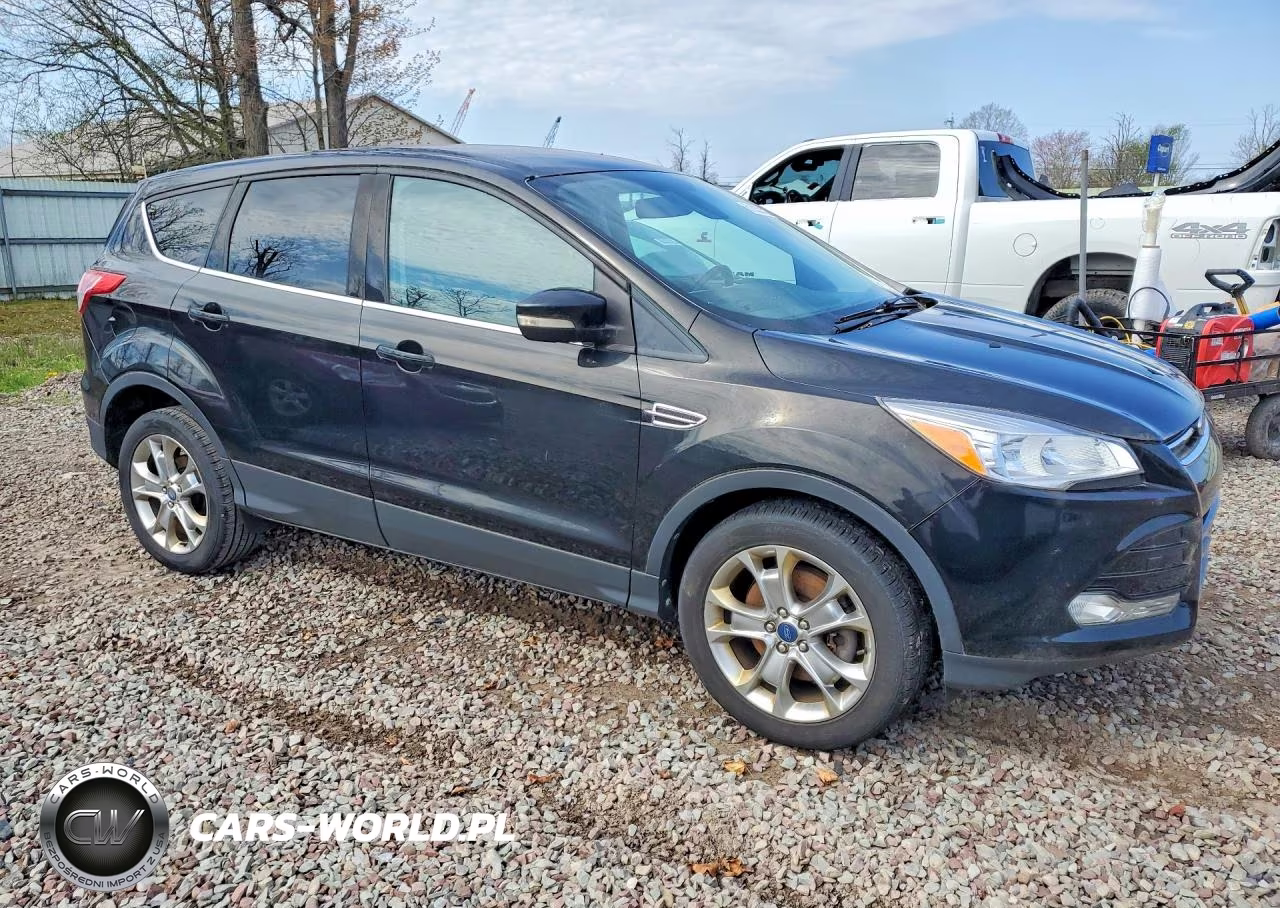 2013 Ford Escape Sel VIN:1FMCU9H96DUC04174 - 4