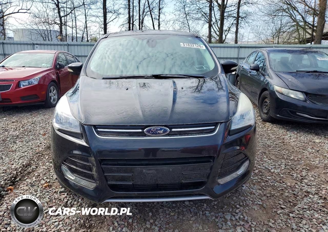 2013 Ford Escape Sel VIN:1FMCU9H96DUC04174 - 5