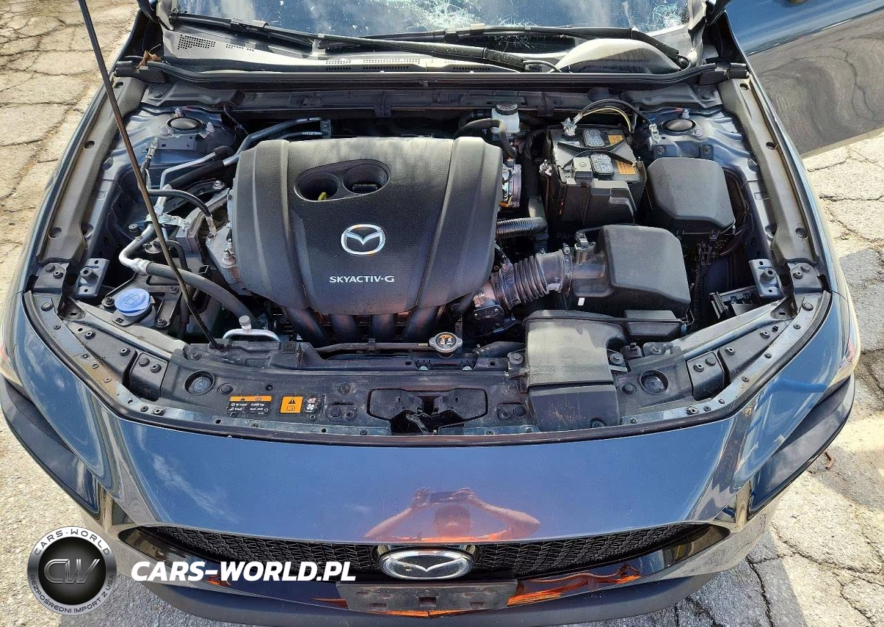 2019 Mazda 3 Premium VIN:JM1BPBNMXK1131462 - 12