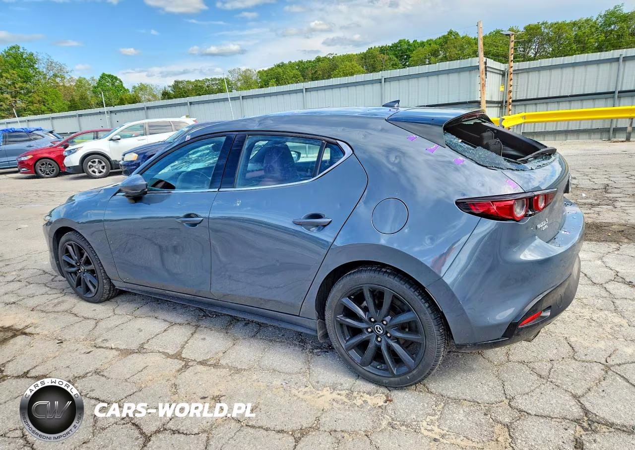 2019 Mazda 3 Premium VIN:JM1BPBNMXK1131462 - 2