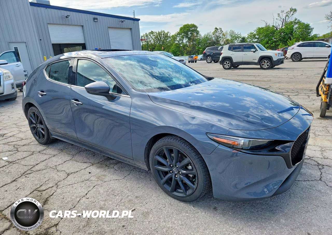 2019 Mazda 3 Premium VIN:JM1BPBNMXK1131462 - 4