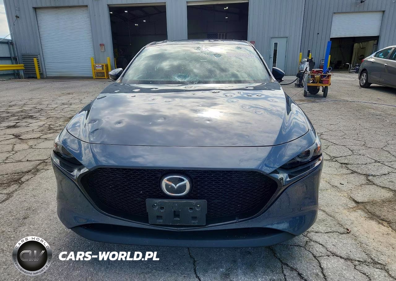 2019 Mazda 3 Premium VIN:JM1BPBNMXK1131462 - 5