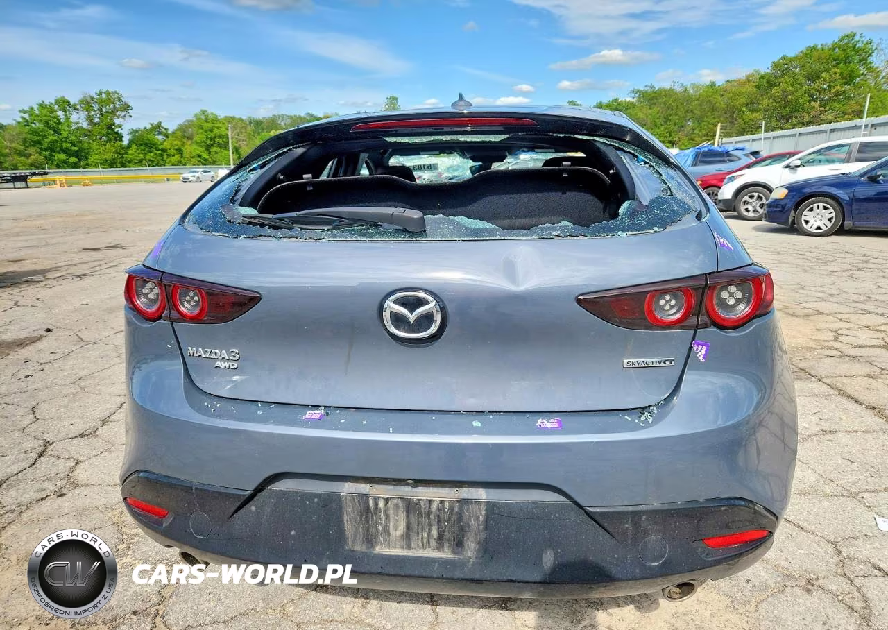 2019 Mazda 3 Premium VIN:JM1BPBNMXK1131462 - 6