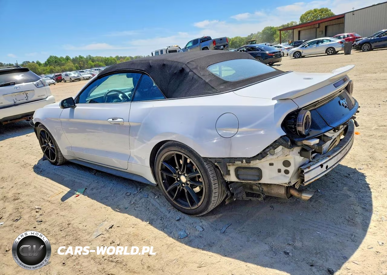 2017 Ford Mustang VIN:1FATP8UH6H5295939 - 2