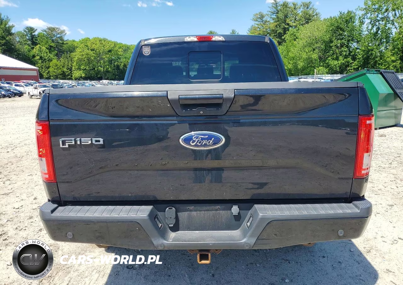 2015 Ford F150 Supercrew VIN:1FTEW1EG2FFC17748 - 6
