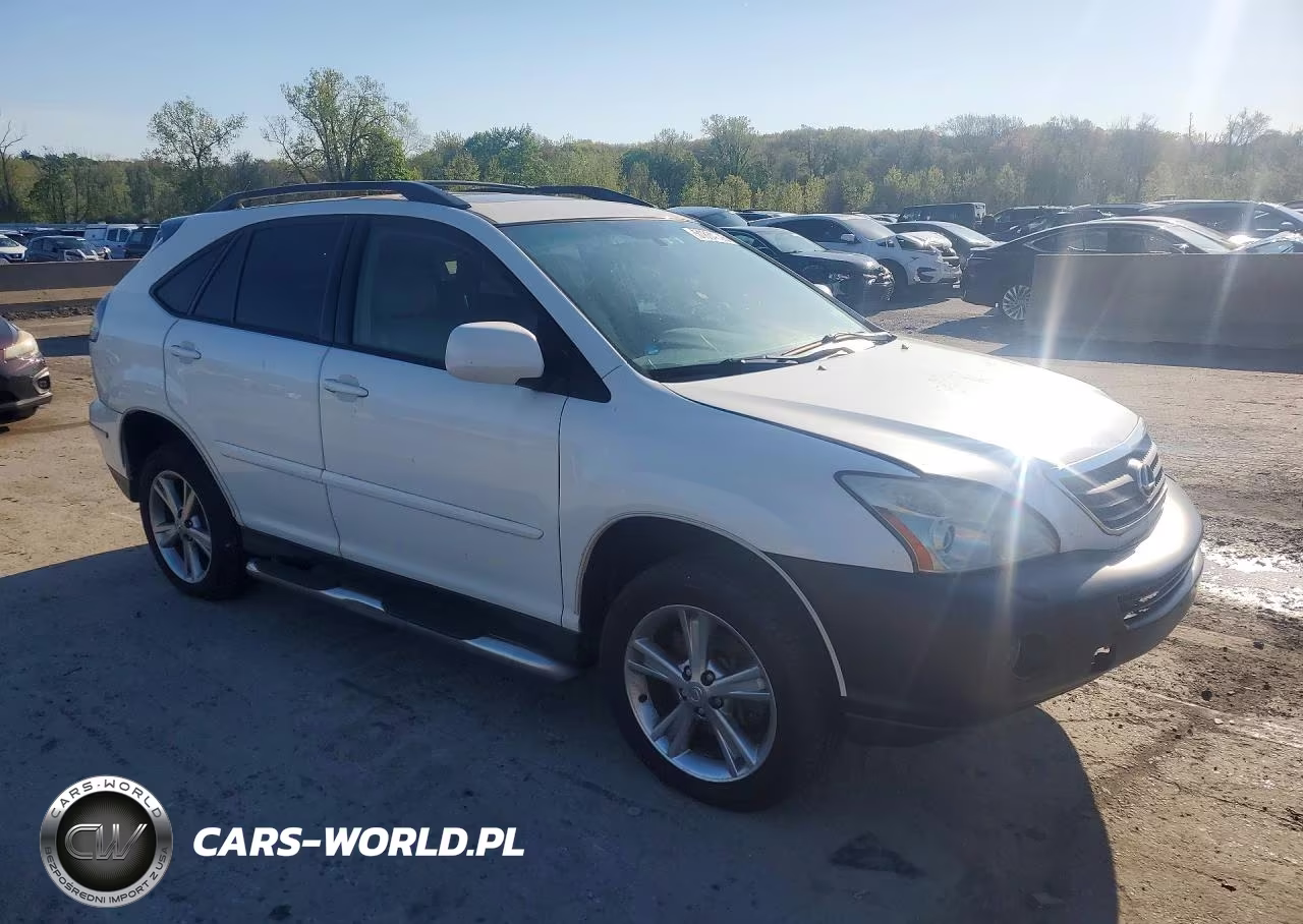 2006 Lexus Rx 400 VIN:JTJHW31U360035464 - 4
