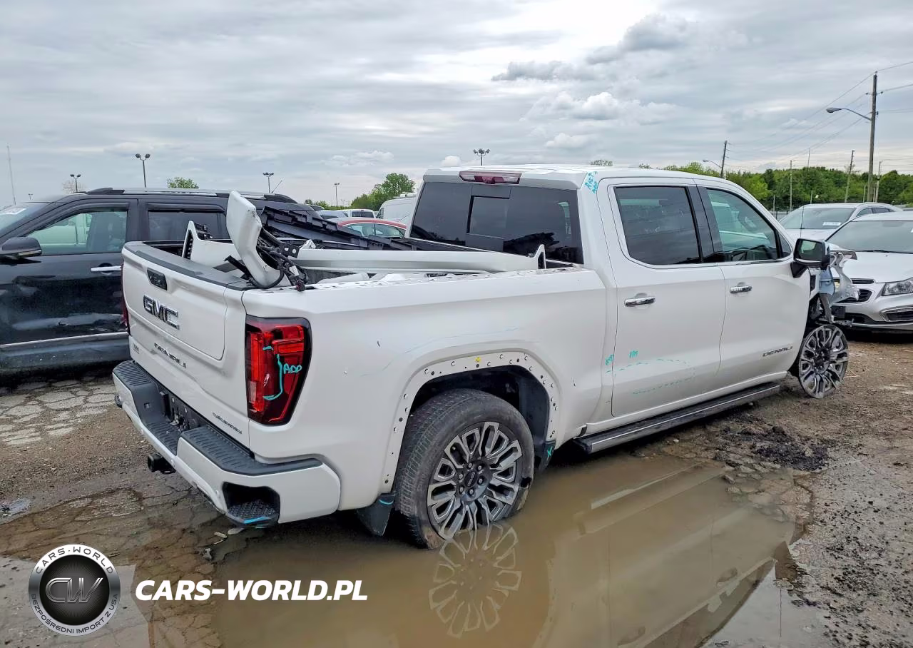 2024 GMC Sierra K1500 Denali Ultimate VIN:1GTUUHEL6RZ131353 - 3