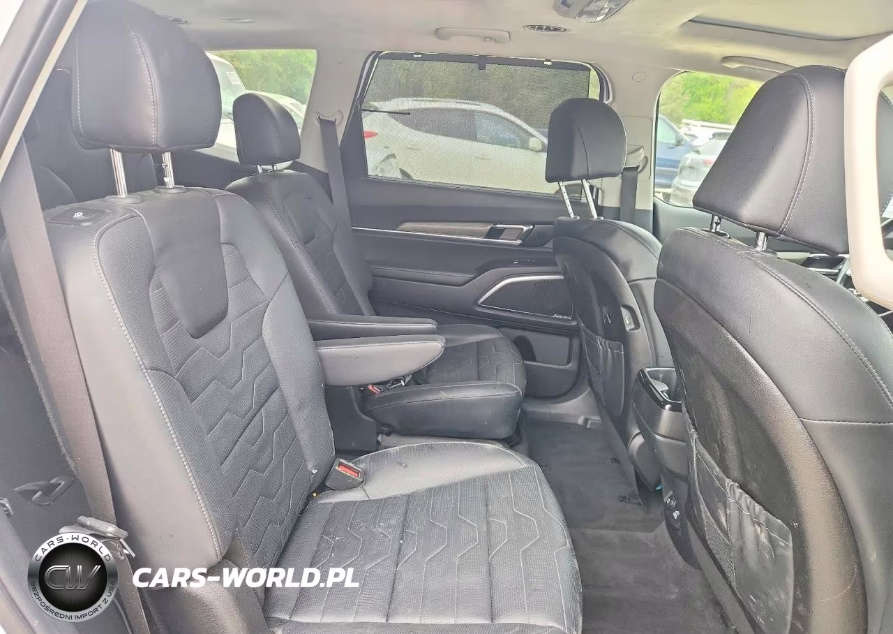 2022 Kia Telluride Sx VIN:5XYP5DHC6NG309754 - 11