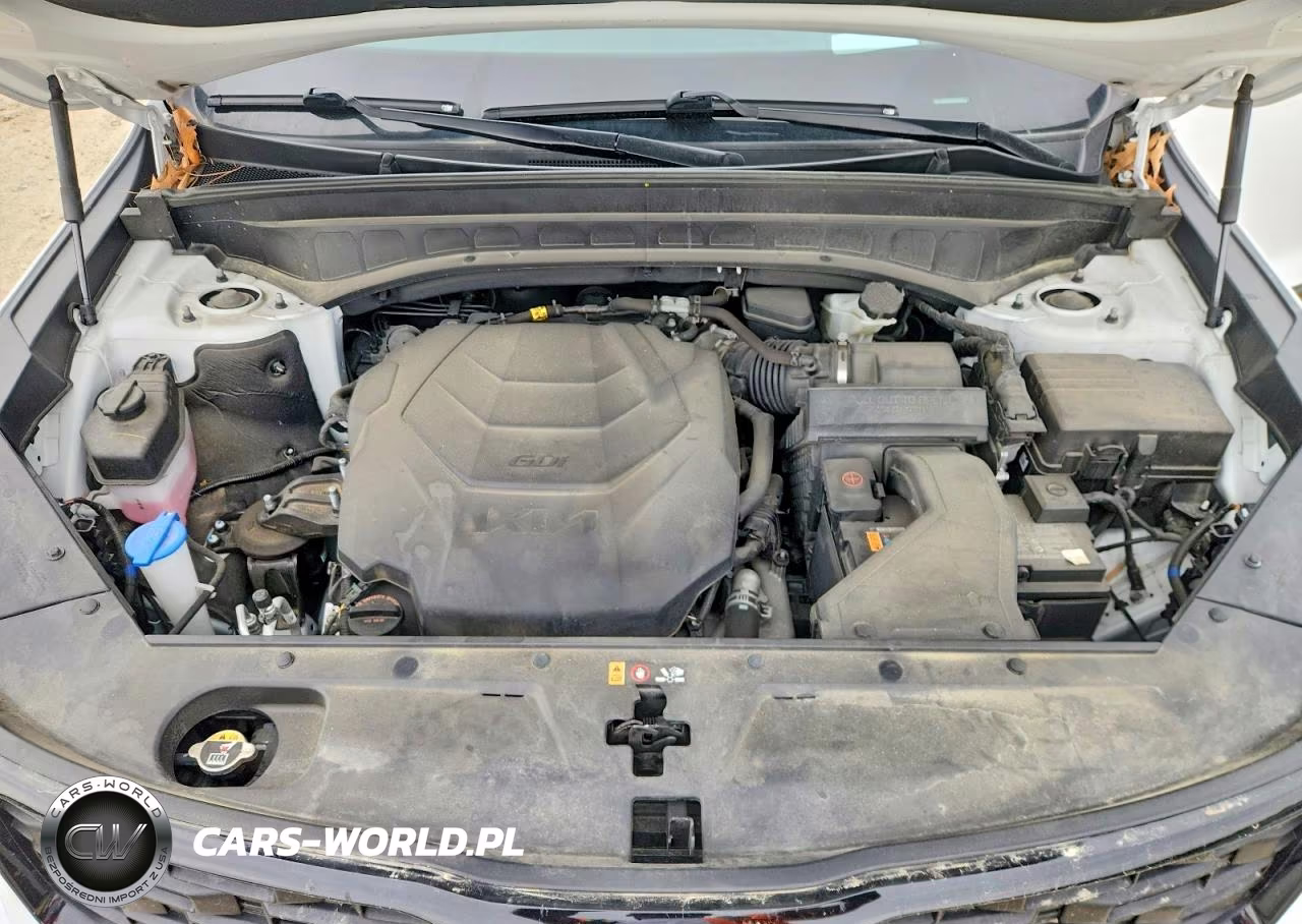 2022 Kia Telluride Sx VIN:5XYP5DHC6NG309754 - 12