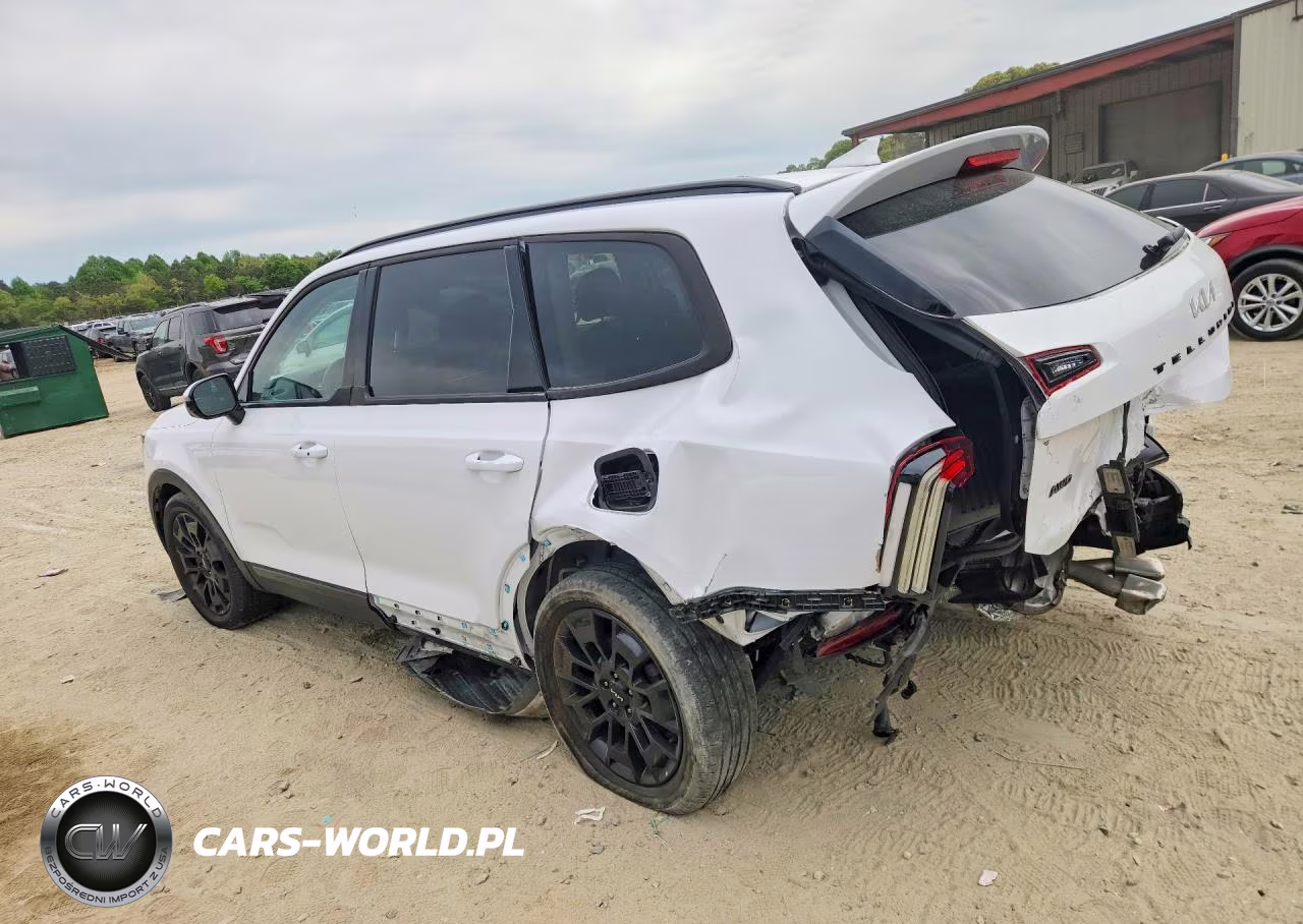 2022 Kia Telluride Sx VIN:5XYP5DHC6NG309754 - 2