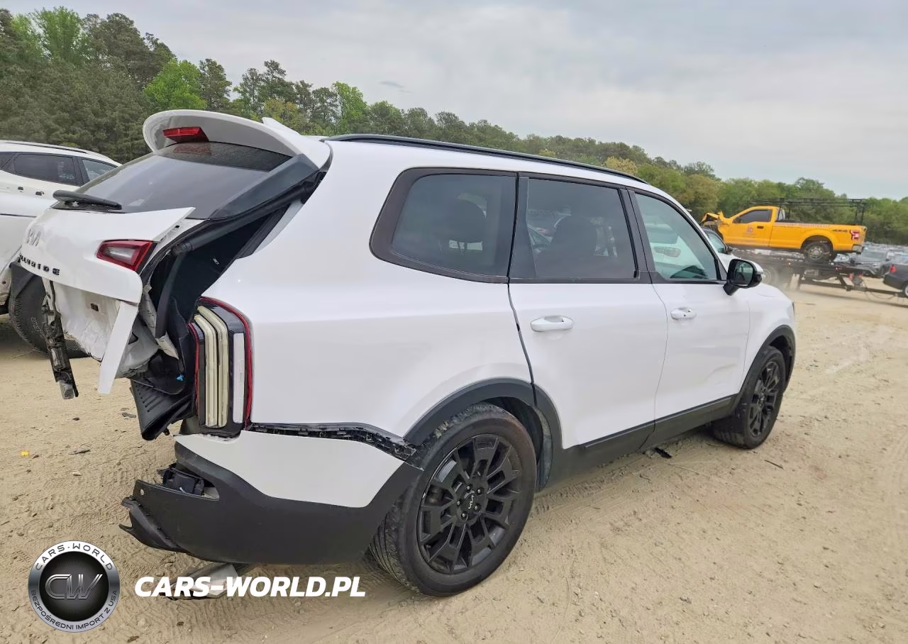 2022 Kia Telluride Sx VIN:5XYP5DHC6NG309754 - 3