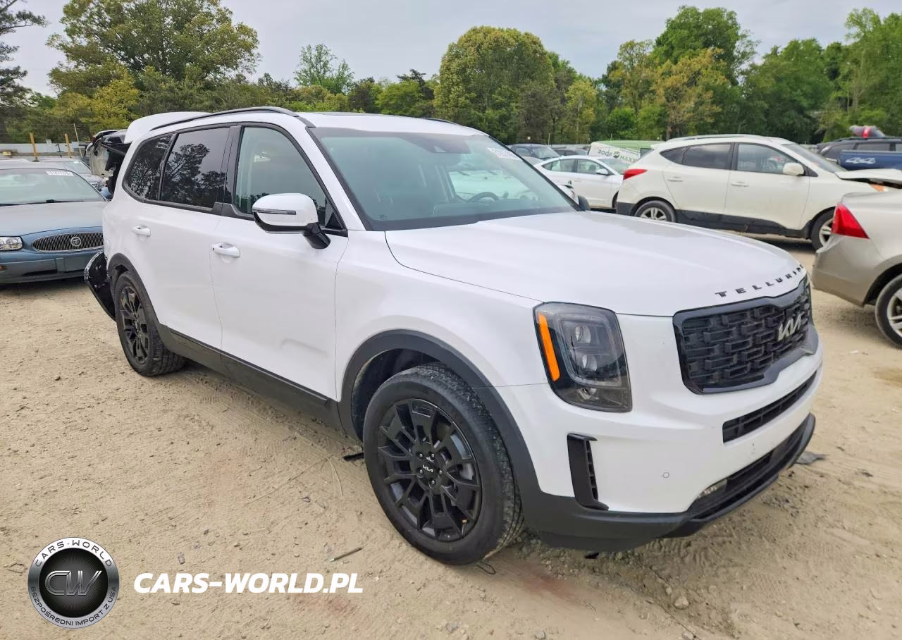 2022 Kia Telluride Sx VIN:5XYP5DHC6NG309754 - 4